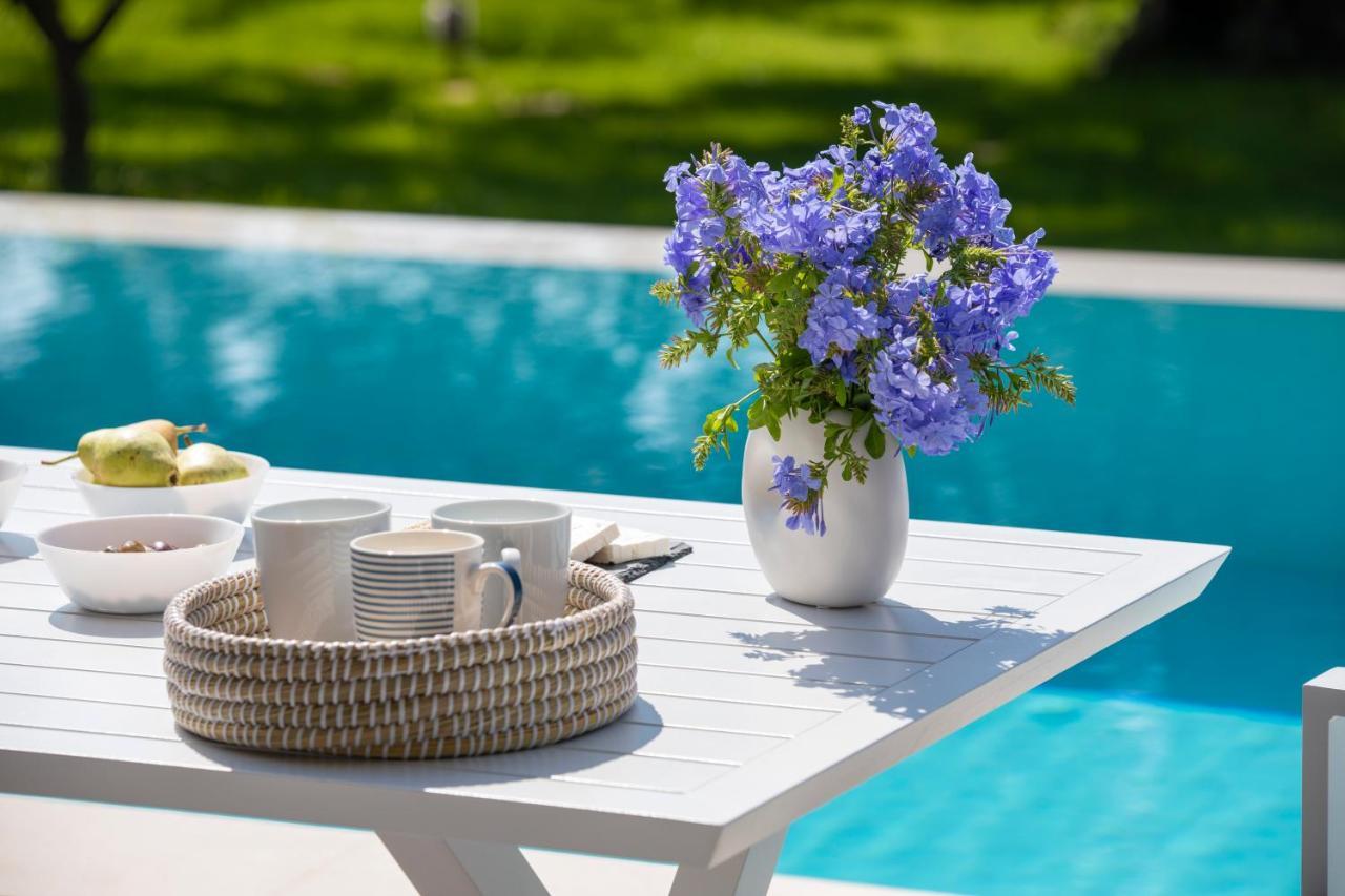 Averto Villas With Private Pool Nydri  Zewnętrze zdjęcie