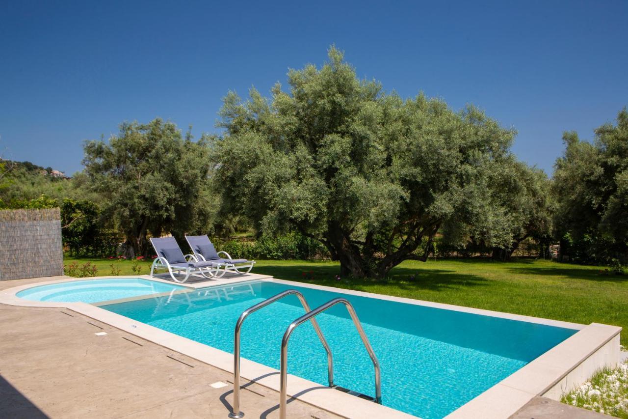 Averto Villas With Private Pool Nydri  Zewnętrze zdjęcie